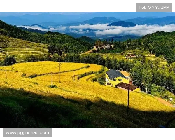 方言直播新浪潮：乡音里的烟火人间